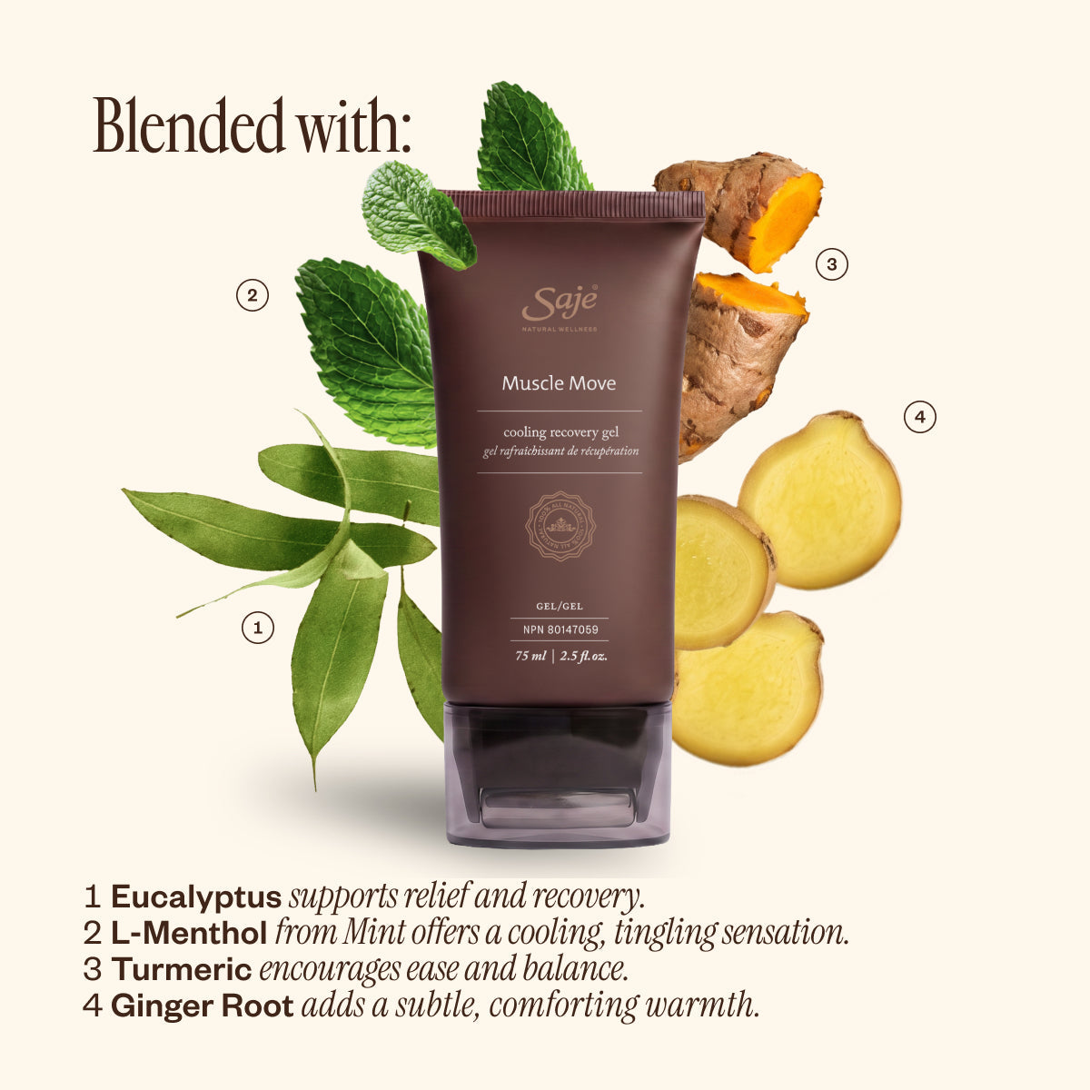 Recover & Recharge