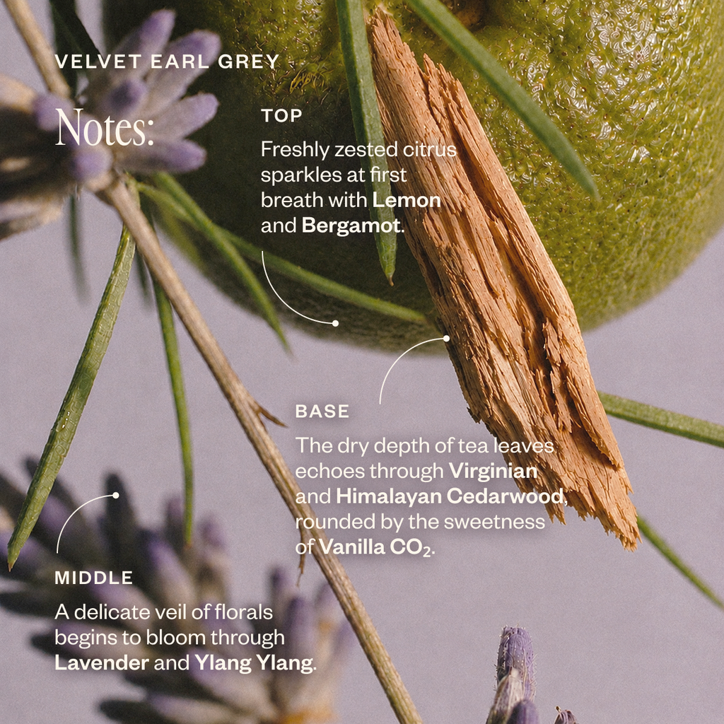 All-day Atmosphere