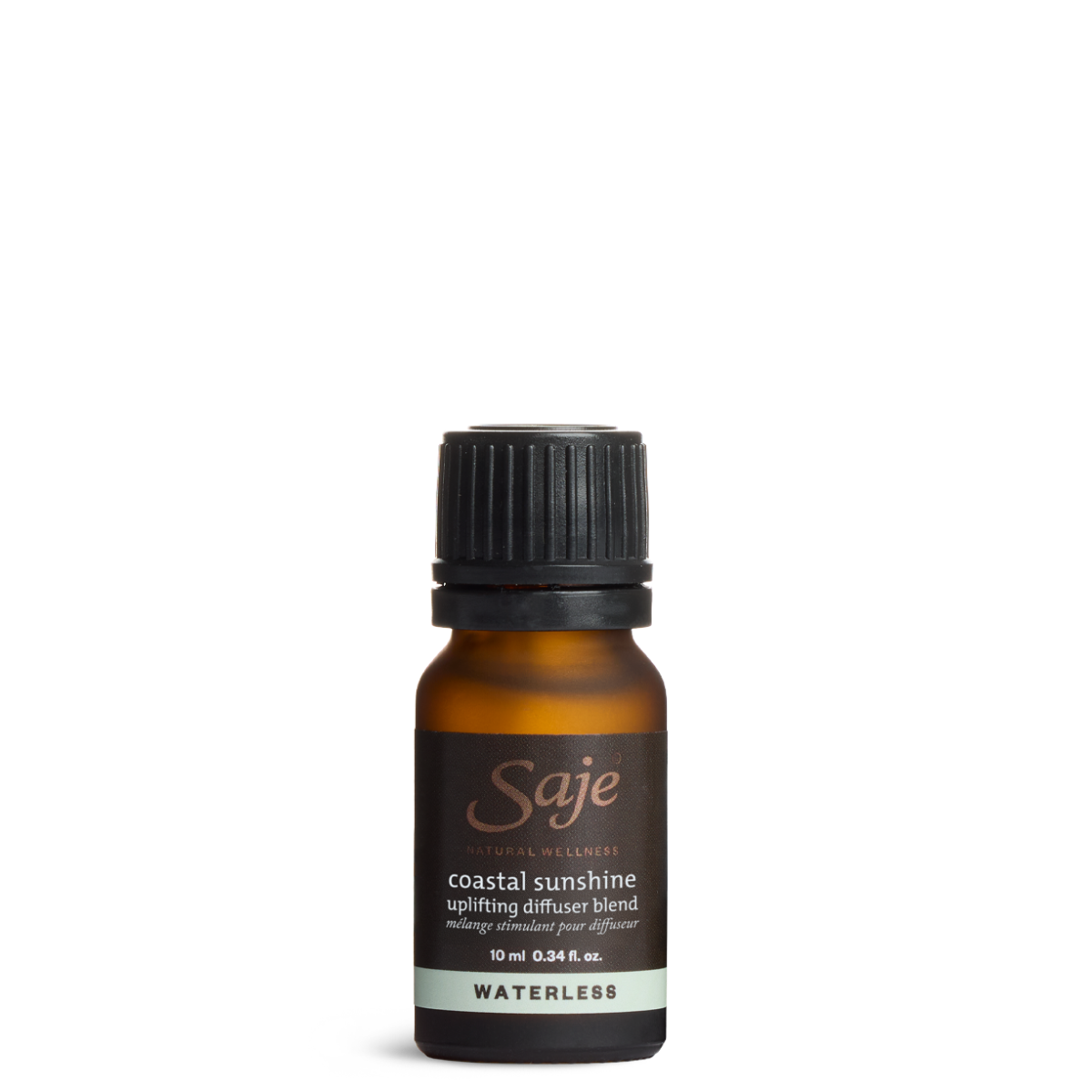 Coastal Sunshine
